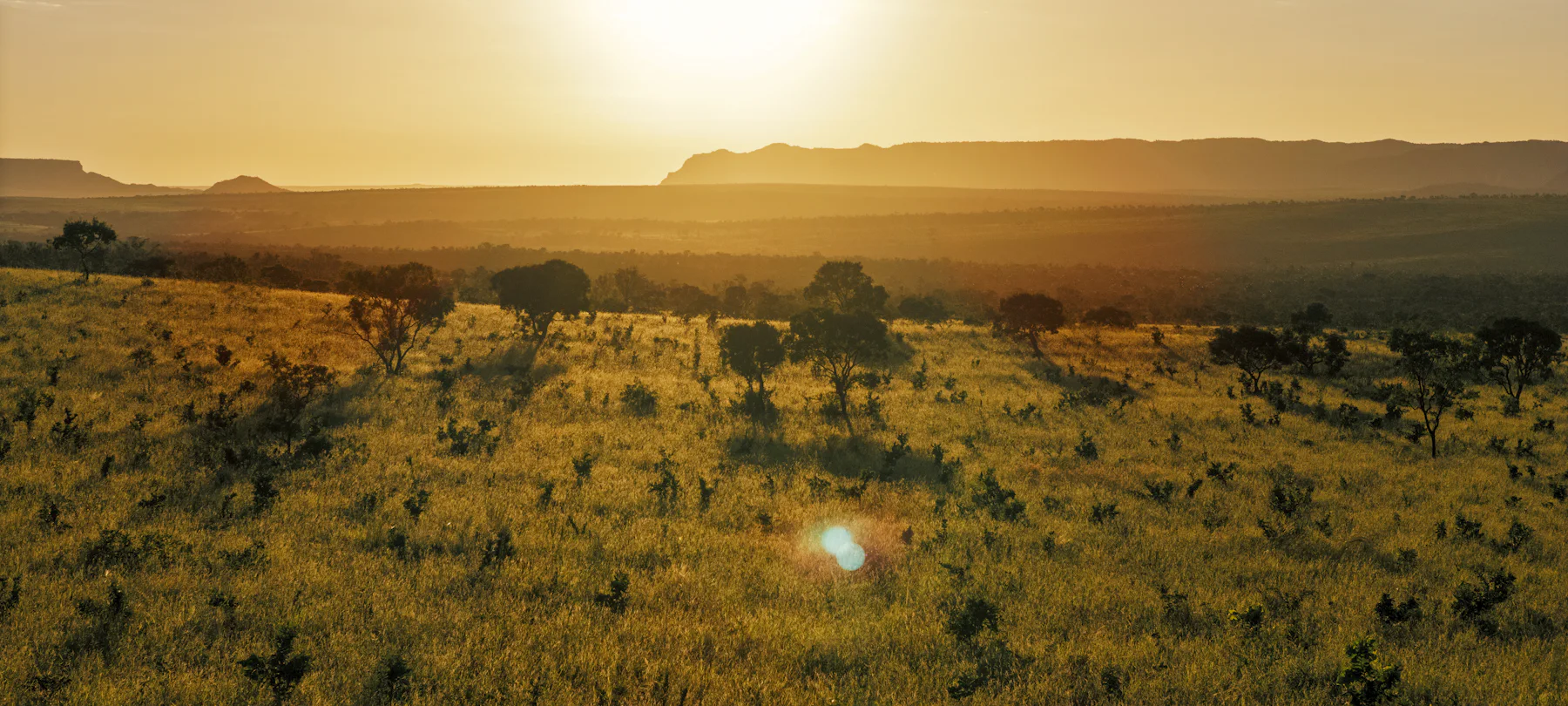 Cerrado ao entardecer, com árvores dispersas e colinas ao fundo